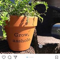 Elecciones 2018 - Recuerditos - 1