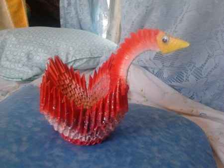 Cisne pequeño