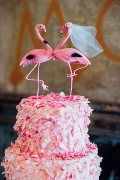 flamingo2
