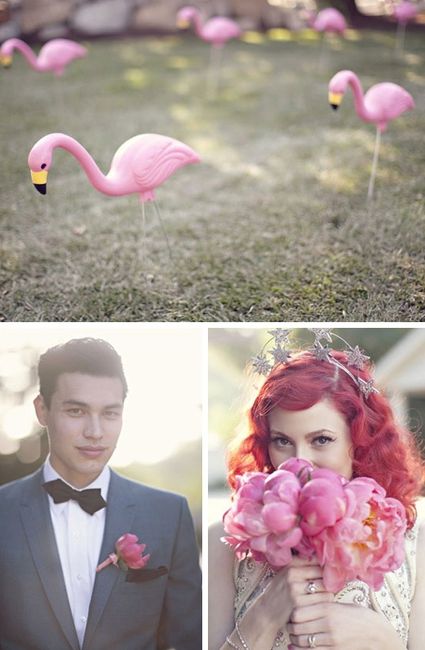 flamingo14