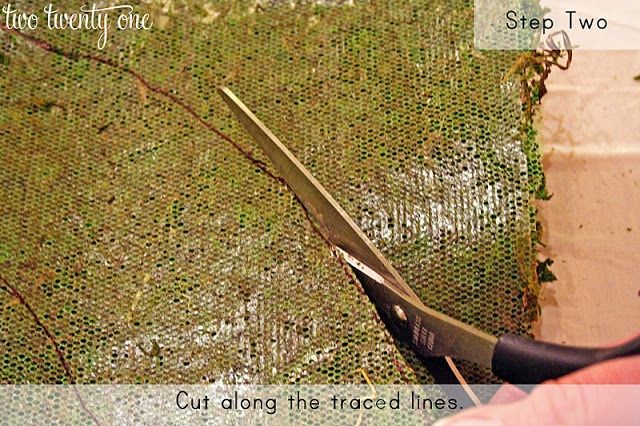 musgo2