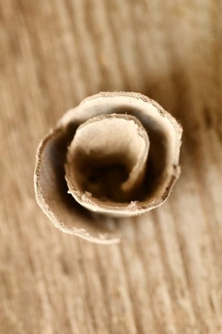 rosas de papel6