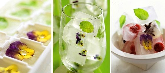 Flores en hielo2