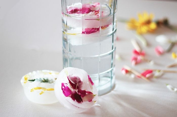 Flores en hielo4
