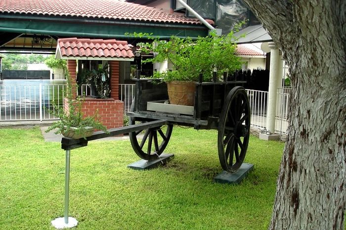 Quinta2