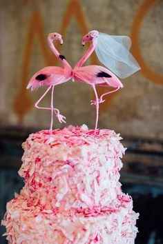 flamingo2