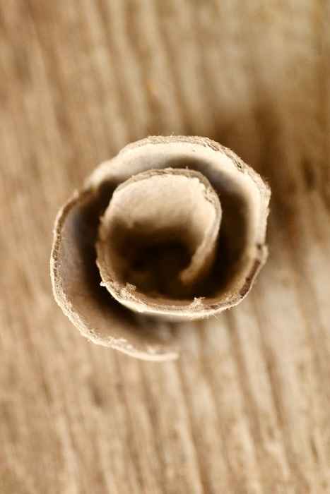 rosas de papel6