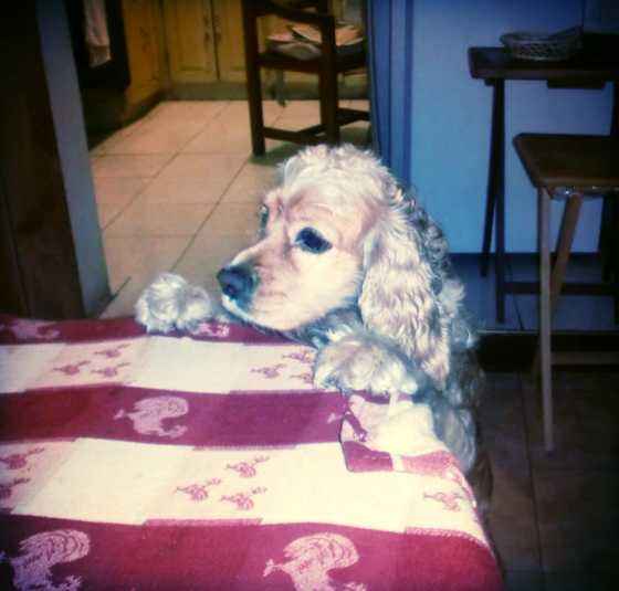 mi princesa