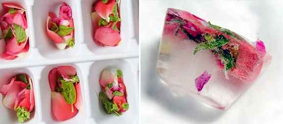 Flores en hielo3