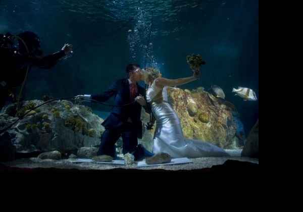 Boda bajo el agua1