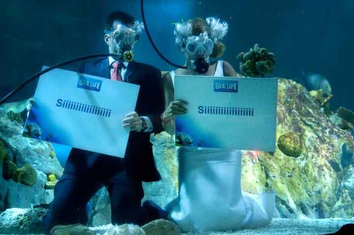 Boda bajo el agua10