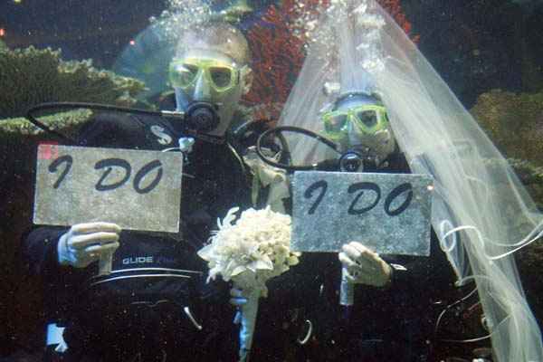 Boda bajo el agua16