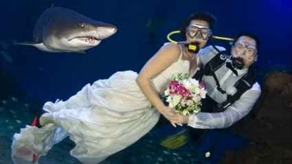 Boda bajo el agua17