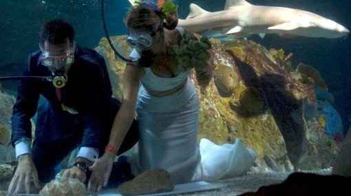Boda bajo el agua20