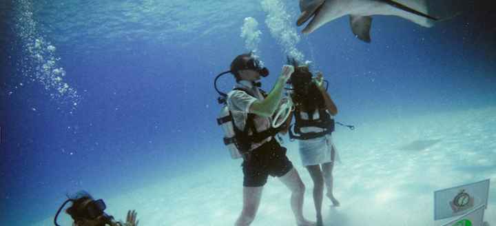 Boda bajo el agua22