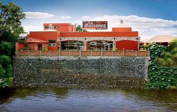los gaviones3