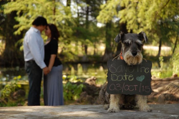 wall-e save the date