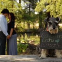 wall-e save the date