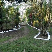 Aún no tengo idea de cómo y dónde hacerla???? - 2