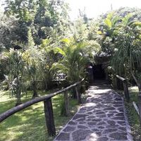 Aún no tengo idea de cómo y dónde hacerla???? - 3