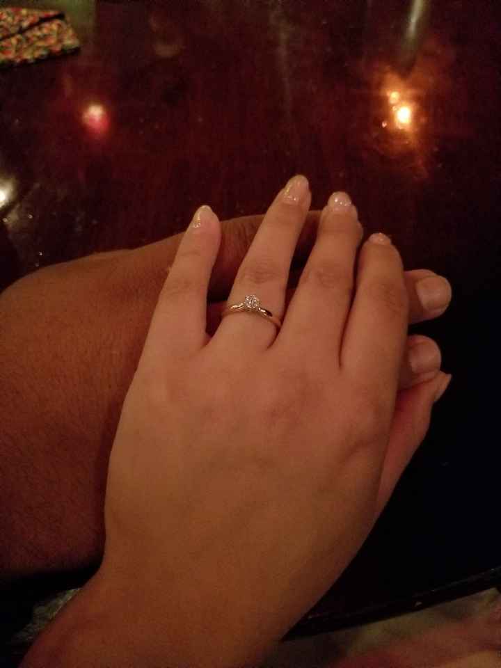 Mi sorpresa romántica Diana Arriaga - 1