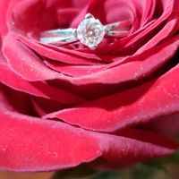 Mi sorpresa romántica Cynthia Domínguez - 1