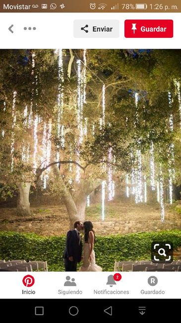 Jardín de noche - 5