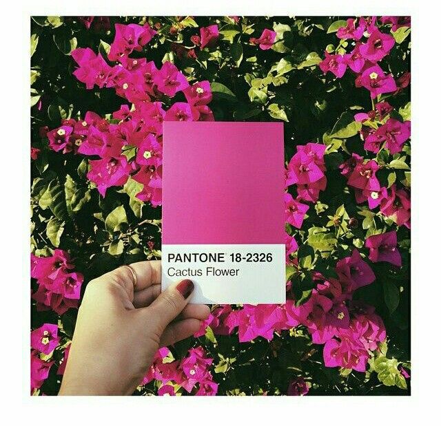 Estoy a 90 días del gran momento. 6