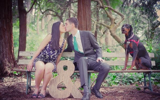 save the date mascotas