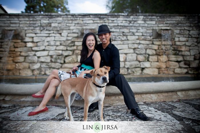 save the date mascotas