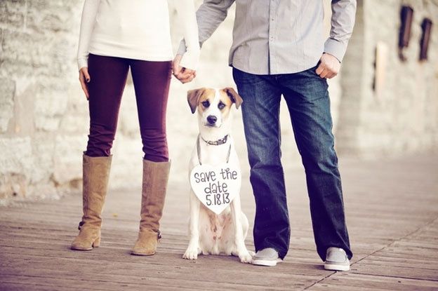 Let them star in your Save the Dates.