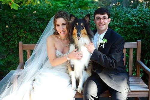 wedding pets