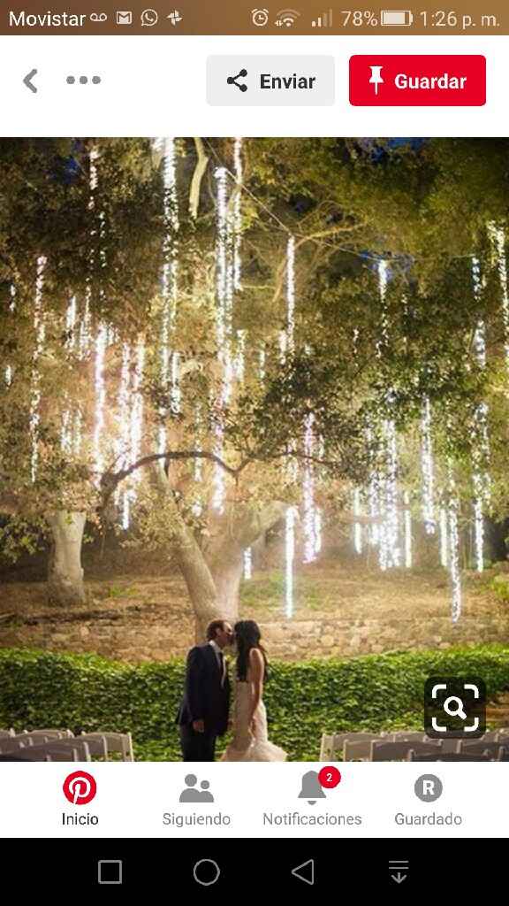 Jardín de noche - 5