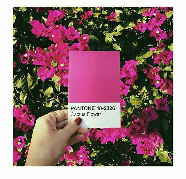 Estoy a 90 días del gran momento. - 6