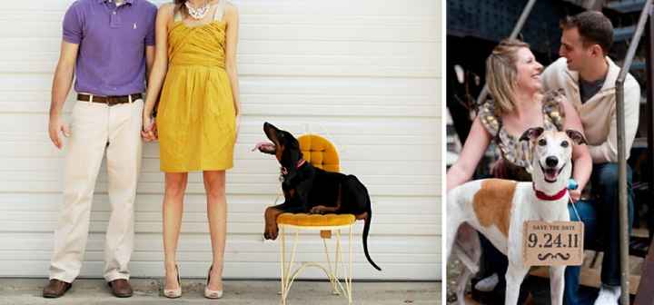 save the date mascotas