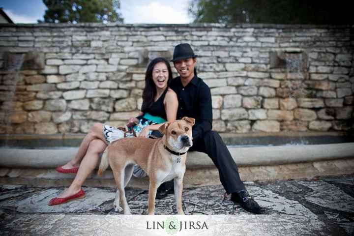 save the date mascotas