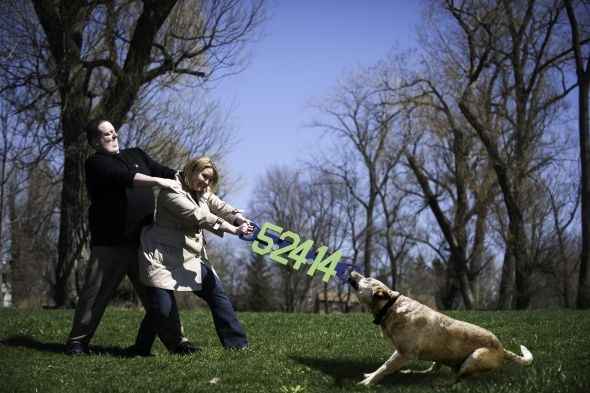 save the date mascotas