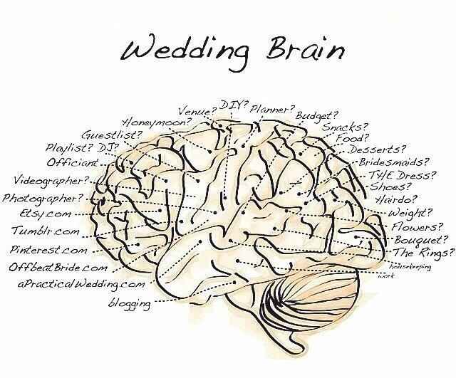 El cerebro de una novia - 1