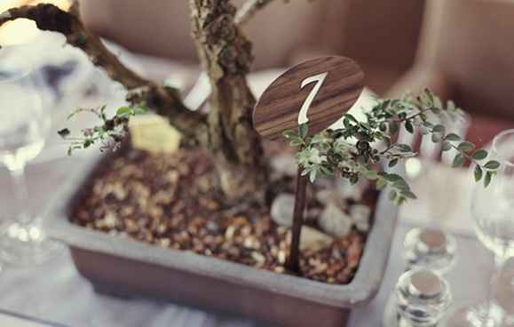 bonsai como centro de mesa