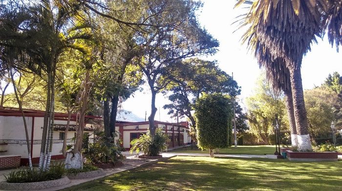 Casa El Tule, nos trataron muy amablemente, y la dueña nos puso en contacto con un organizador de ev