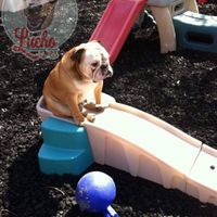 ¿Qué signo eres? 🏹⚖️ - 1