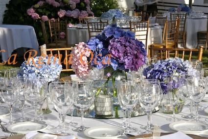 Hortensia