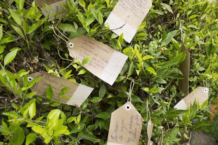 Árbol de los deseos