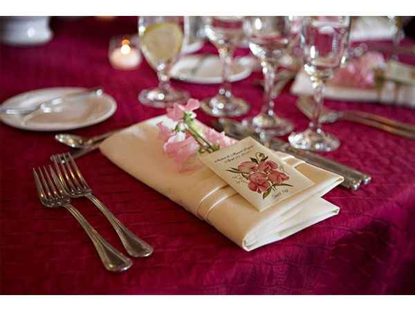 Semillas de recuerdo