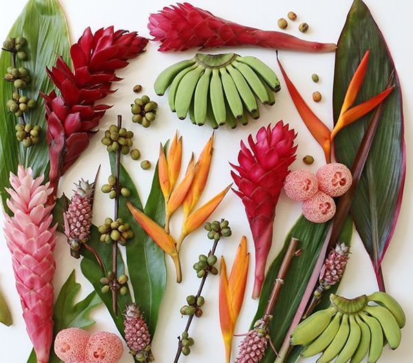 Florería que hace arreglos tropicales 2