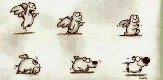 Nuestra sesión casual con nuestros monstruos incluídos. - 1