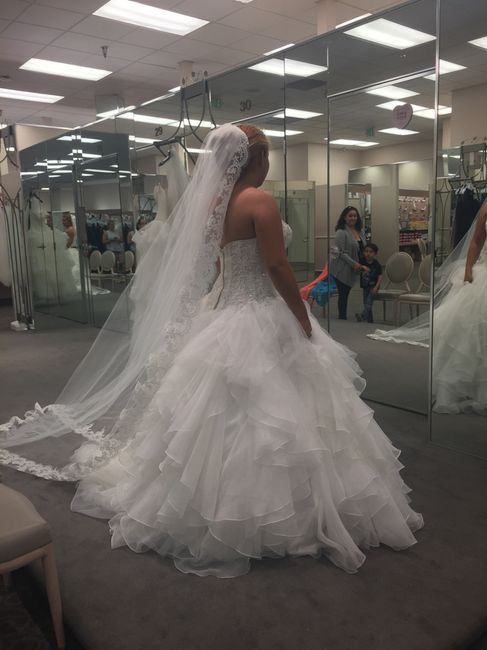 Feliz x mi vestido - 2