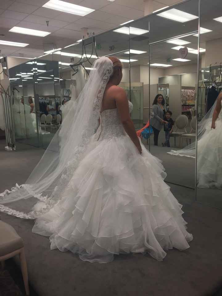 Feliz x mi vestido - 2