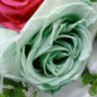 Creen que estoy loca!!! - 1