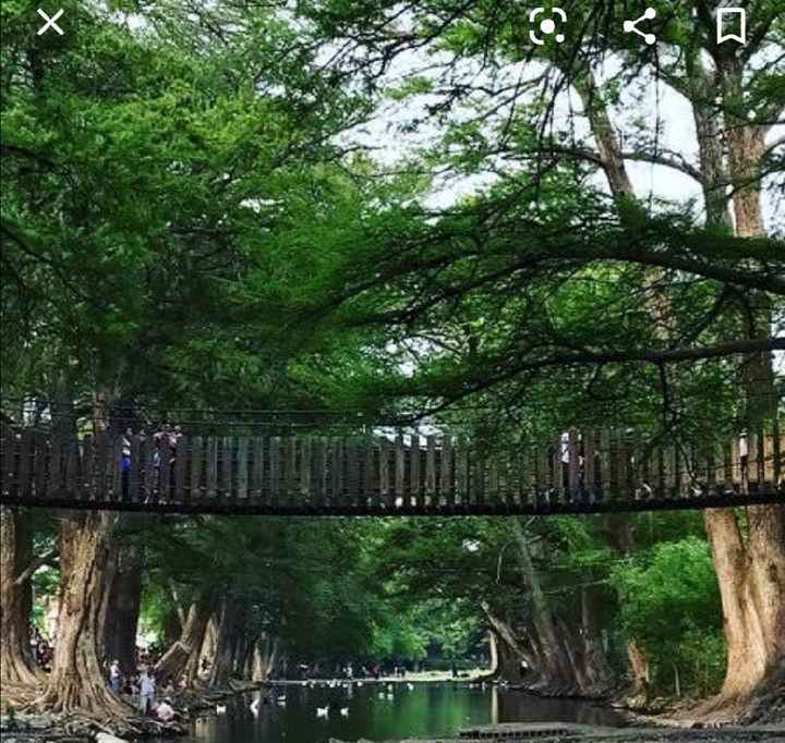 Sesión de fotos en Monterrey.📷 - 2